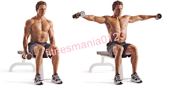 seated-dumbbell-lateral-raise-2-2
